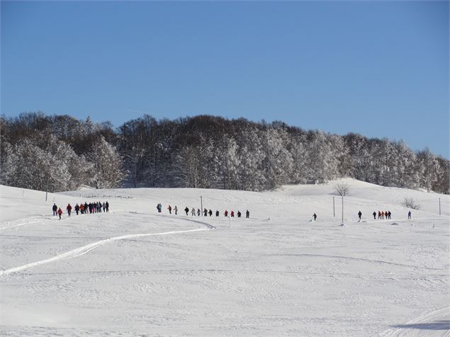 Raquette à neige sur le Plateau de Retord - ©M.Jacques - OT Terre Valserine