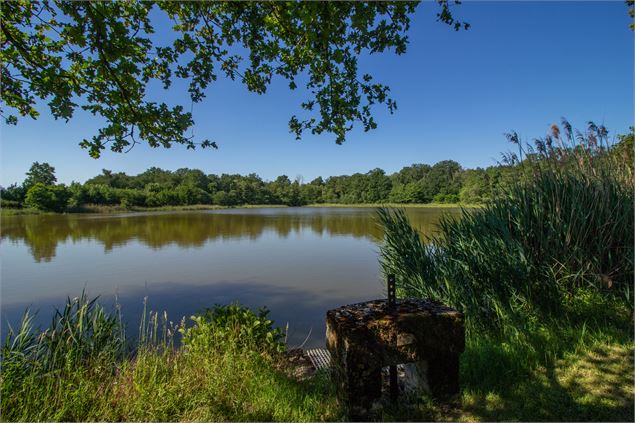 Etang la Léchère - Dombes Tourisme