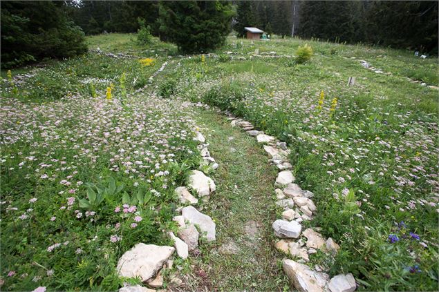 Jardin Alpin du Semnoz