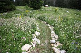 Jardin Alpin du Semnoz