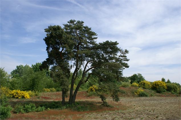 Tracé GPS approximatif Sur les traces du Petit Prince - André Descottes