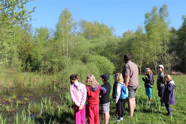 balade nature - Bénédicte Fourneau