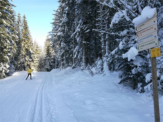 Ski de fond à Giron - ©Marie Jacques - OT Terre Valserine