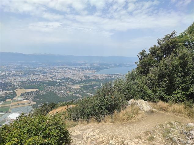 Point de vue de l'Observatoire - EB - OT Monts de Genève