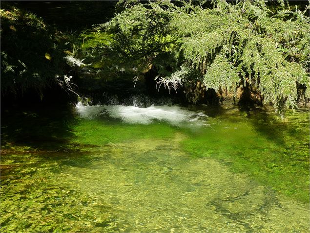 Balade : de la grande source aux sources