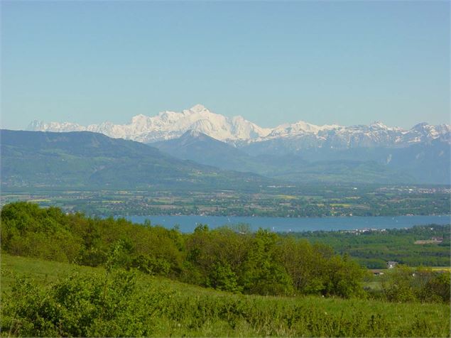 Randonnée : tour du Mont Mourex