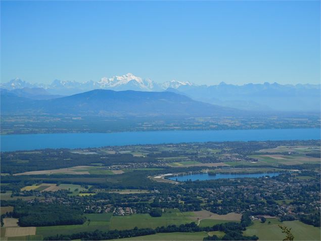 Vue sur le Mont Blanc depuis la Dôle - OT Divonne