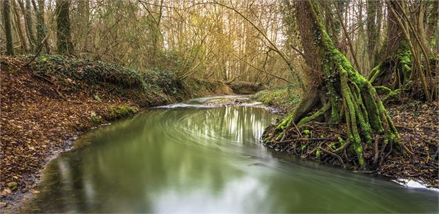 Parc de Cibeins - Pascal Brunon