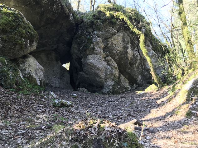 La Grotte du loup - M.Parsy