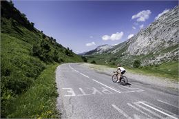 Cycliste en direction du Grand-Bornand depuis le col de la Colombière - ©SavoieMontBlanc-Bijasson