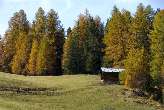 Plateau de Plan Bois - Philippe Gal