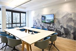  - © Laurent Cheviet