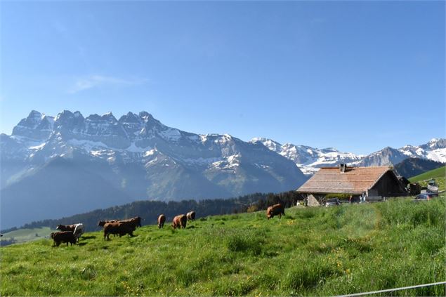 Alpage La Chaux - Gîte d'alpage La Chaux