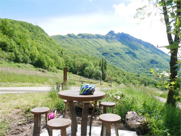 Vue sur la Dent du Chat - Nadine Chevelard