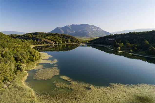Circuit de randonnée pédestre : Lac et vignobles_Pollieu - Laurent Madelon - CCBS