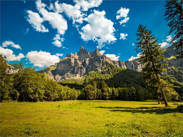 Balade du frenalay - OT Samoëns