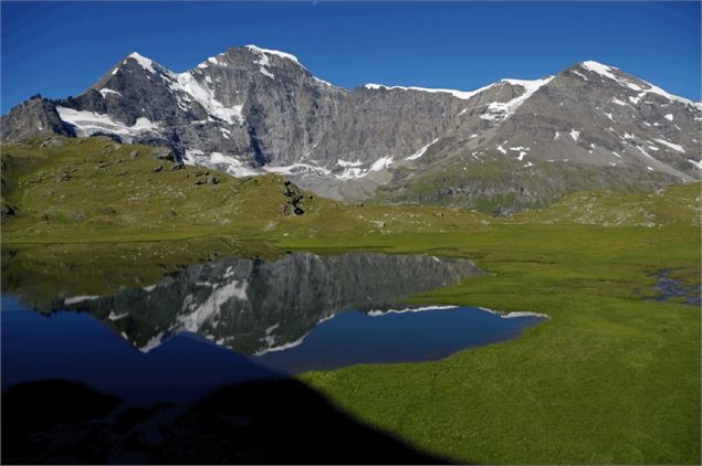 Lac de Tsofereit - DROSERA