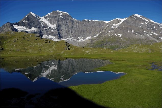 Lac de Tsofereit - DROSERA