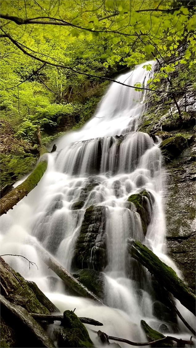 grand rideau d'eau tombant, cascade qui coule sur un fond rochaux, entourée de forêt - Manon OTSLA