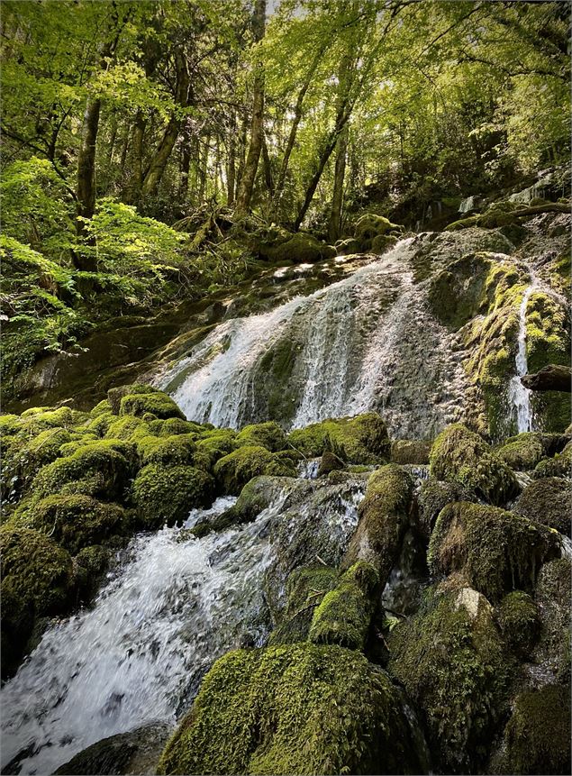 Cascade entouré de verdure qui coule sur un rocher - Manon OTSLA