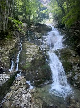 saury cascade - Manon OTSLA