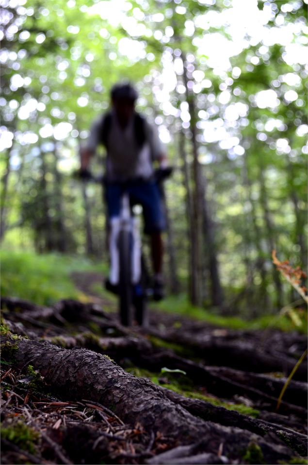 Chemins du Soleil - La traversée de la Chartreuse à VTT