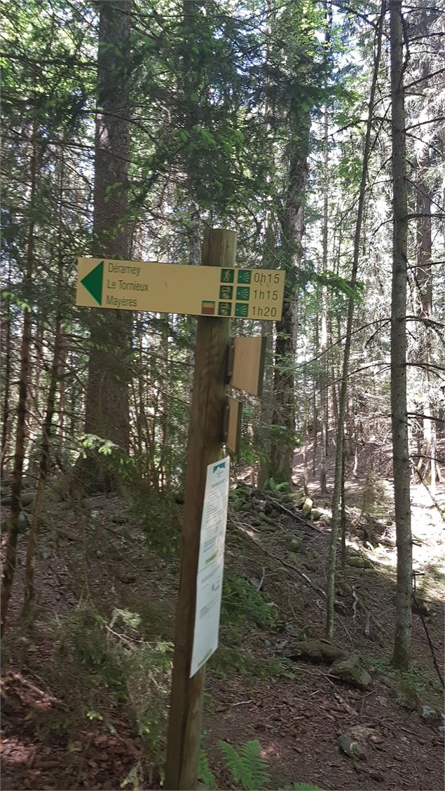 sentier pédestre : sentier forestier de Mayères - Véronique Lorenzi