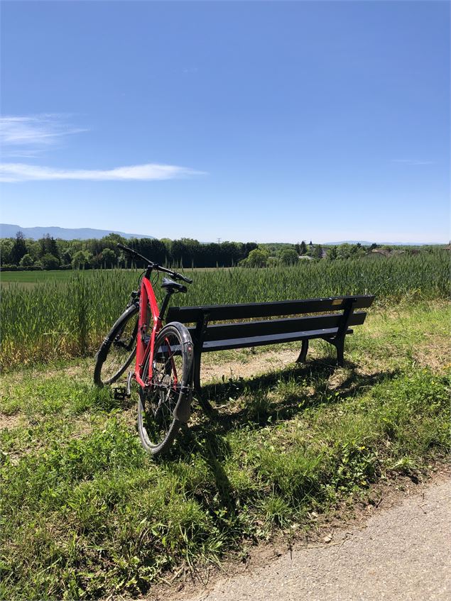 Faire une pause dans un environnement paisible - Jules Guerle