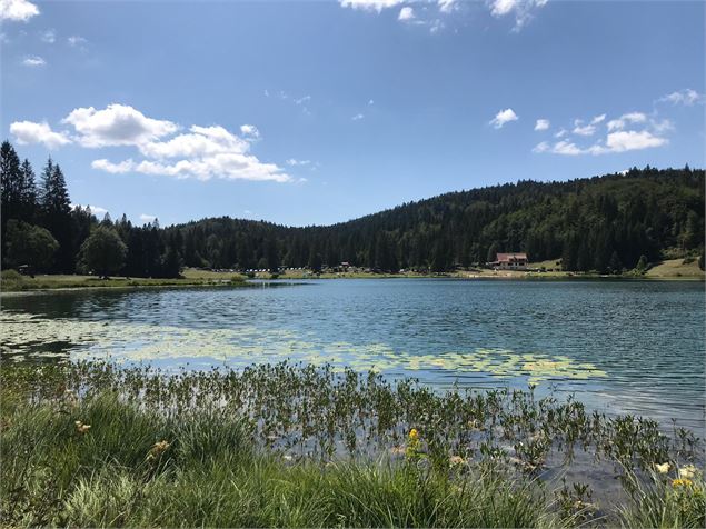 Parcours VTT 68 bleu - Lac Genin et les bois de Puthod et des Millières - Espace FFC Ain Forestière 