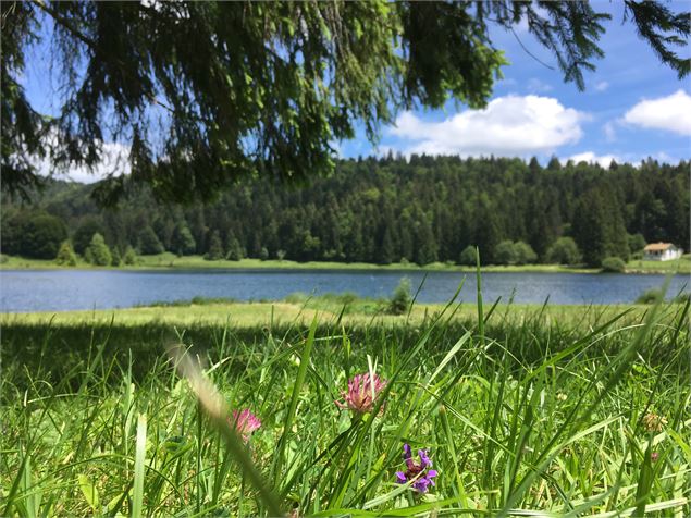 Parcours VTT 67 vert - Lac Genin et les hauts de Charix - Espace FFC Ain Forestière - Mélanie Poirso