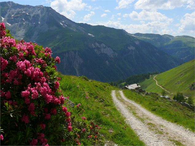 Les Alpages de Rosset - la Chail - MNPC