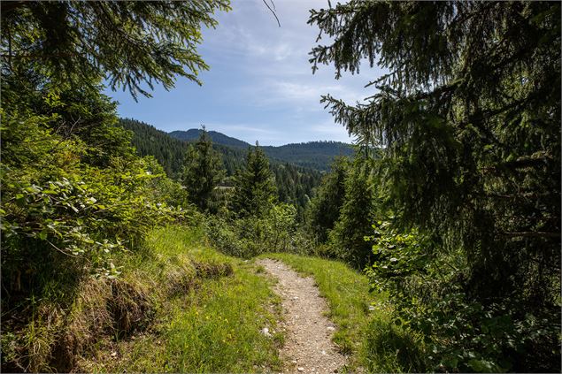 Chemin des Chevreuils - Courchevel Tourisme