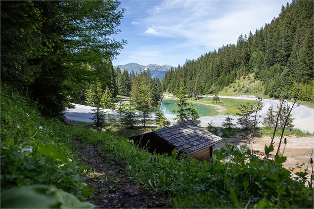 Sandraz - Bois du Ban 1 - Courchevel Tourisme