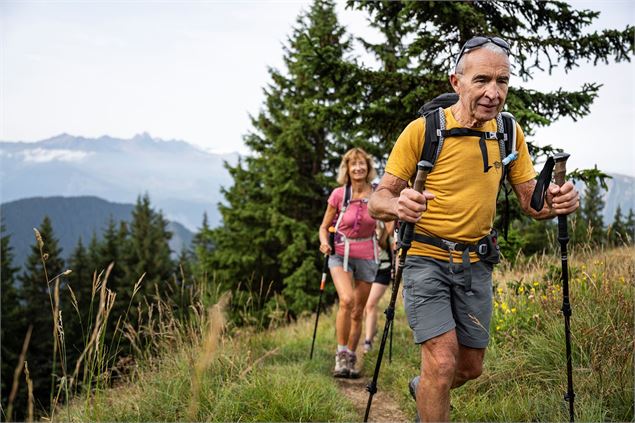 Marche en sortie de forêt - Tilby.Vattard