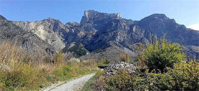 Serpolière - OTICœurdemaurienne