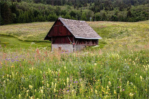 Alpages aux alentours - OTICœurdemaurienne