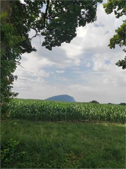 Vue Salève - E Beaupere