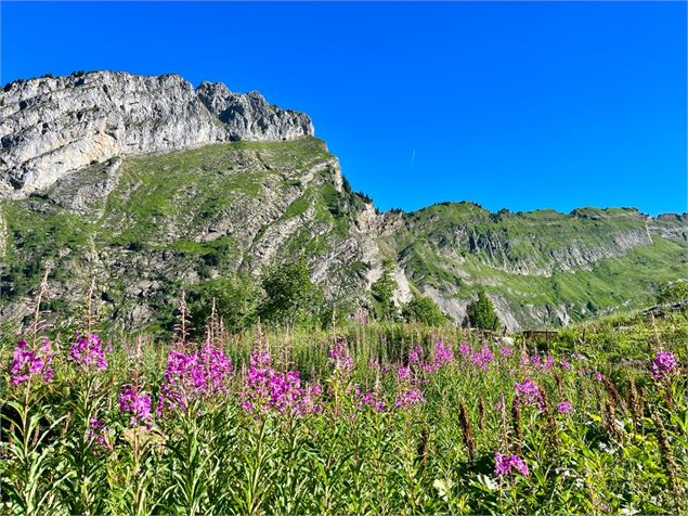 Montée au refuge de Folly - Christelle Vaultier