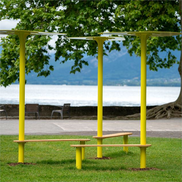 Plante un banc - © Marc Domage