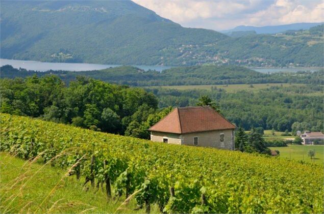 La balade vigneronne