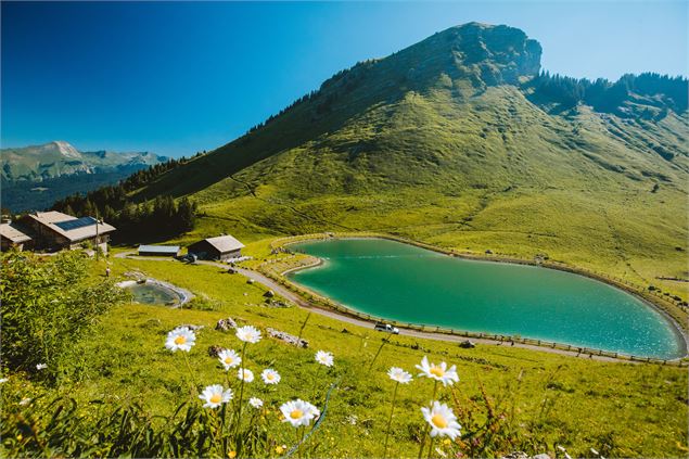 Lac de Nyon-Guérin - Oliver Godbold