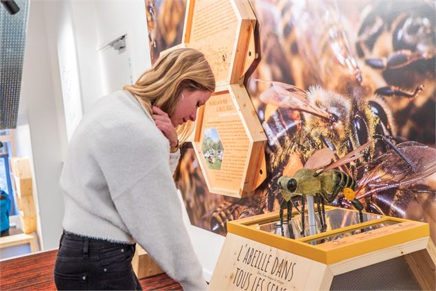 Jeu interactif - V. Lottenberg