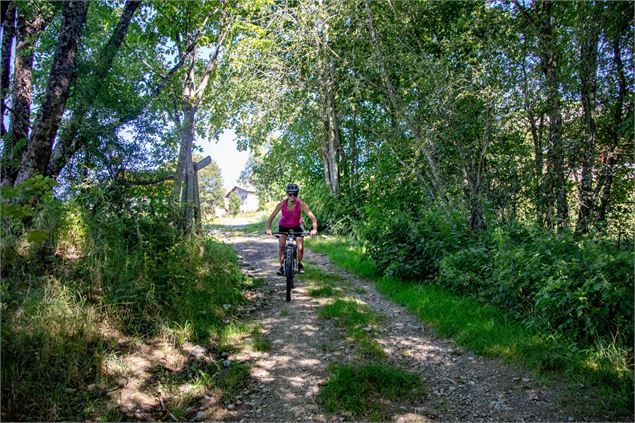 Vélo en forêt - OTICœurdemaurienne