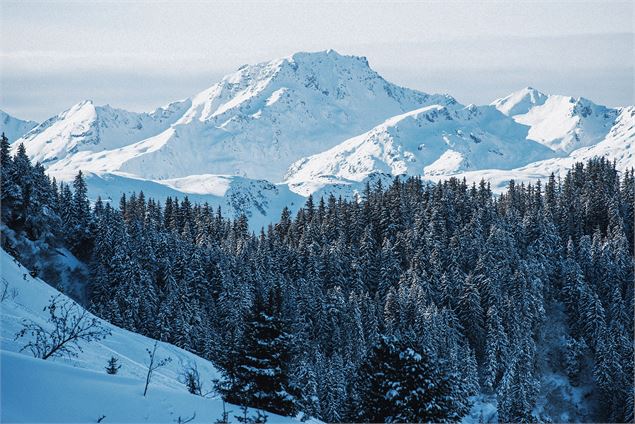 Le plus grand domaine skiable - David André - 3 Vallées