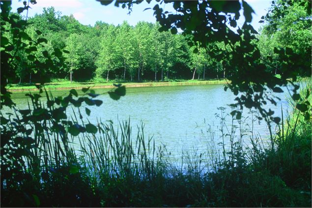 Etang de Fougemagne - CCCC