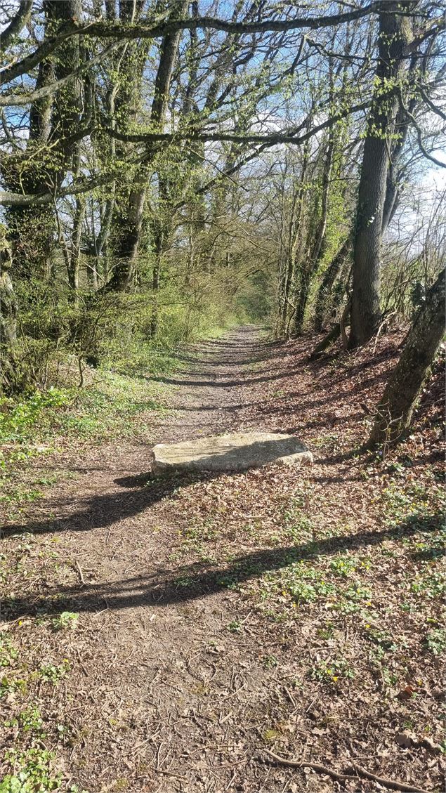 Le Grillon et la vallée de l'Irance_Montcet - scalland