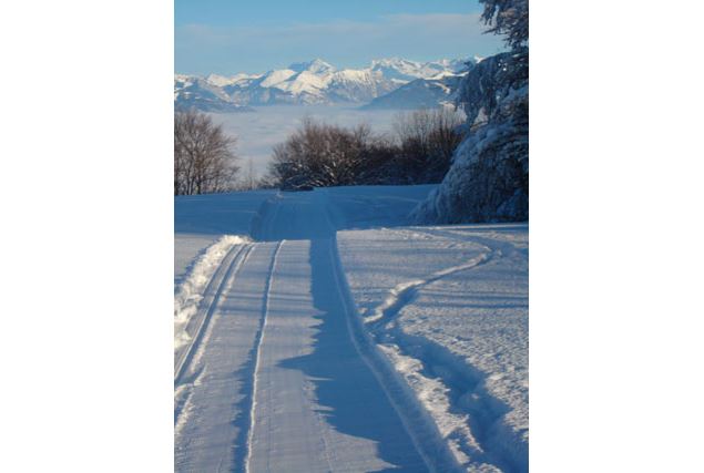 piste skating Salève - Foyer de ski de fond du Salève