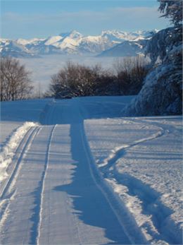 piste skating Salève - Foyer de ski de fond du Salève