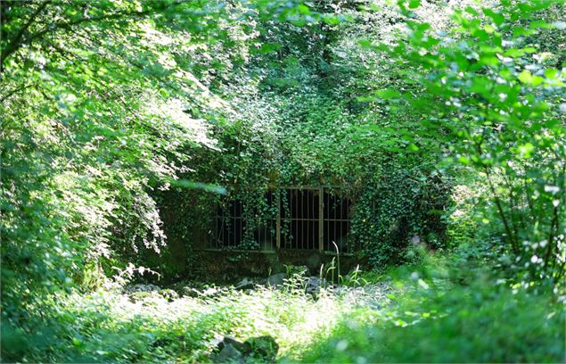 Boucle de la source du Biel_Faverges-Seythenex - Rémi Portier