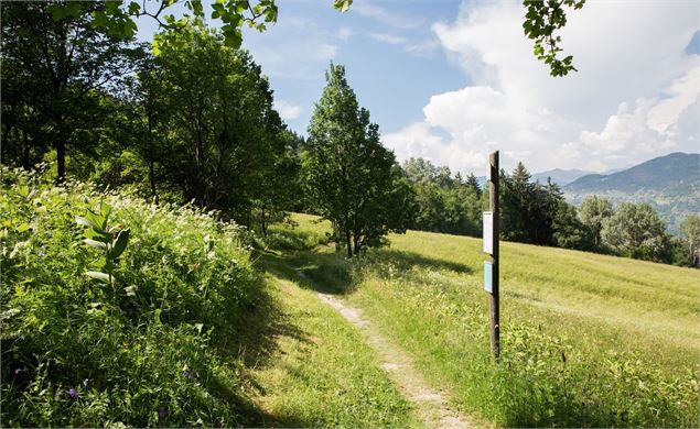 Sentier de la poésie - Sylvain Aymoz - Méribel Tourisme